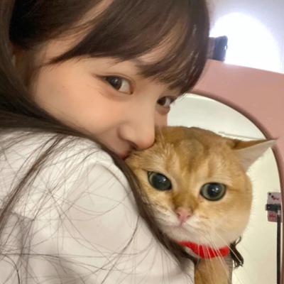 北京伴游,姚牧云（jj1j2019）黄山私人伴游