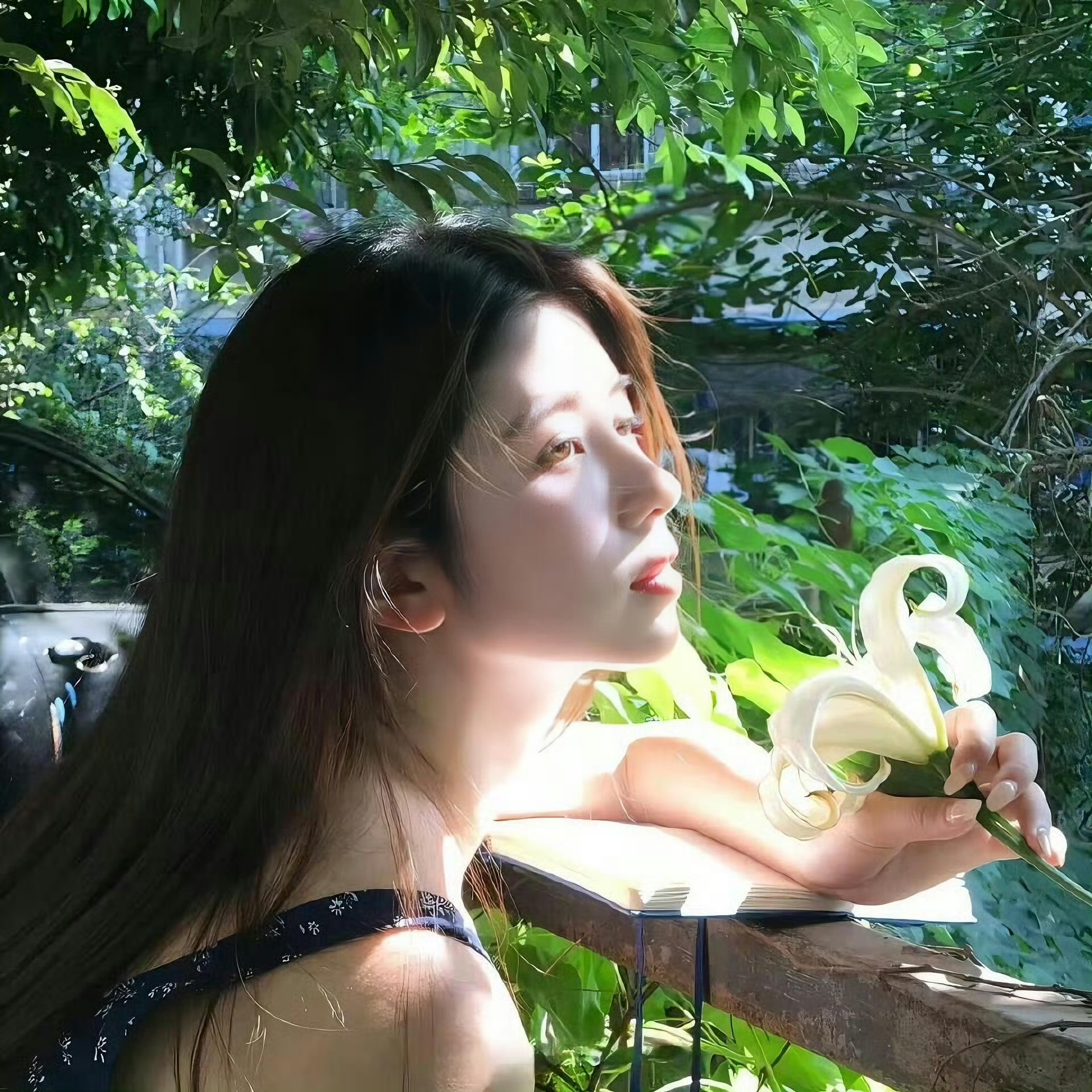 IMG_0352.JPG IMG_0352.JPG